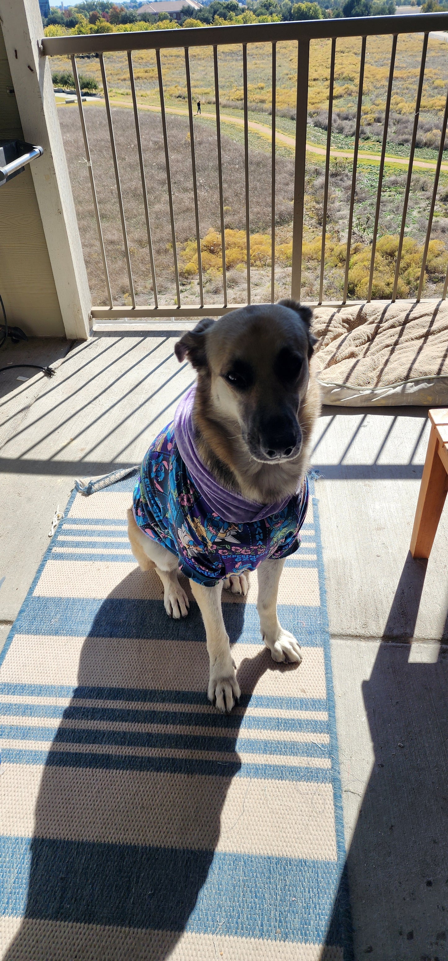 CUSTOM ORDER CATALOG